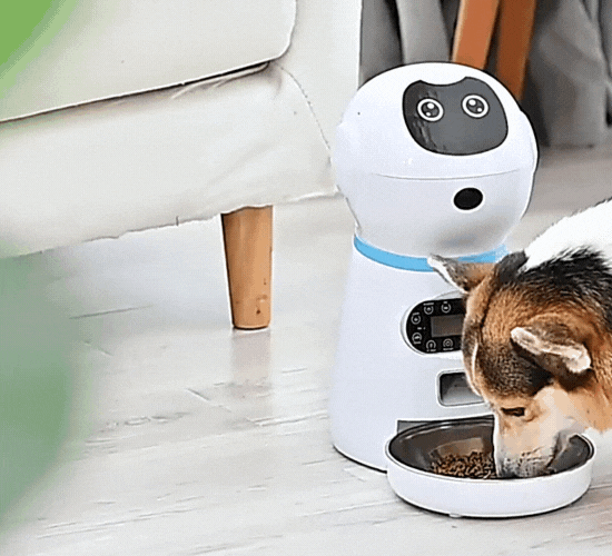 Comedouro para Cães e Gatos Eletrônico - PetEase
