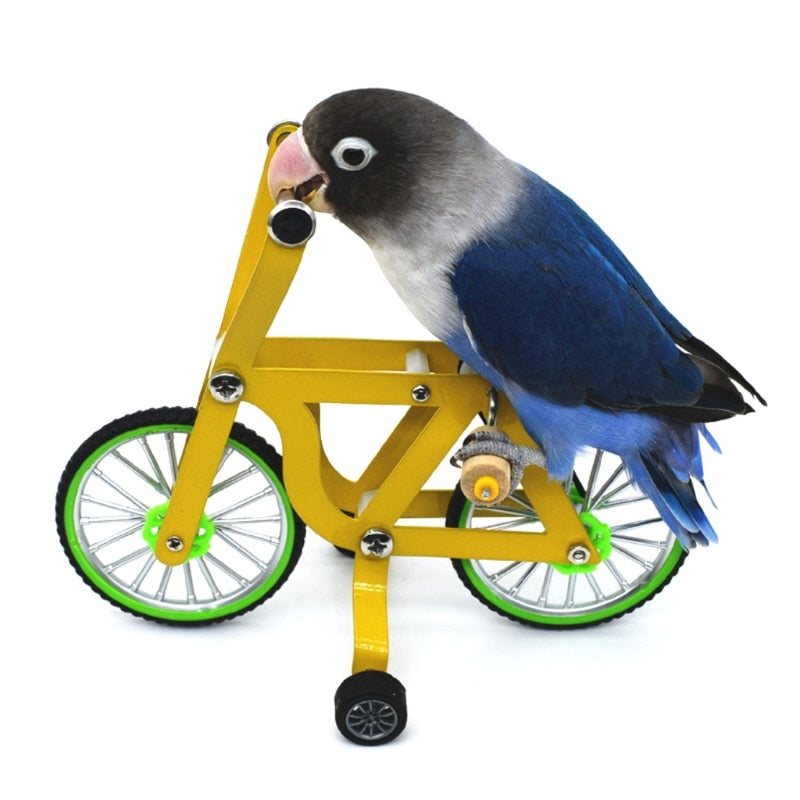 Brinquedo para Papagaios Bike Treinamento