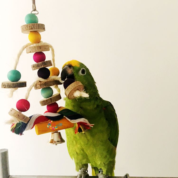 Brinquedo para Papagaio Pêndulo Natural