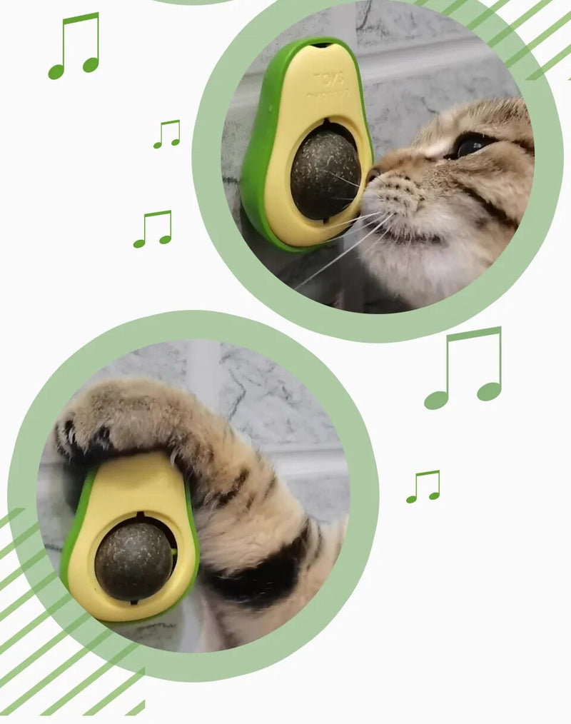 Brinquedo para Gato com CatNip Abacate