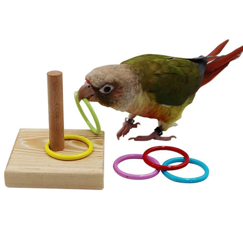 Brinquedos para Papagaios  Interativo