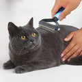 Escova Removerdora  de Pelos - Cães e Gatos Profissional