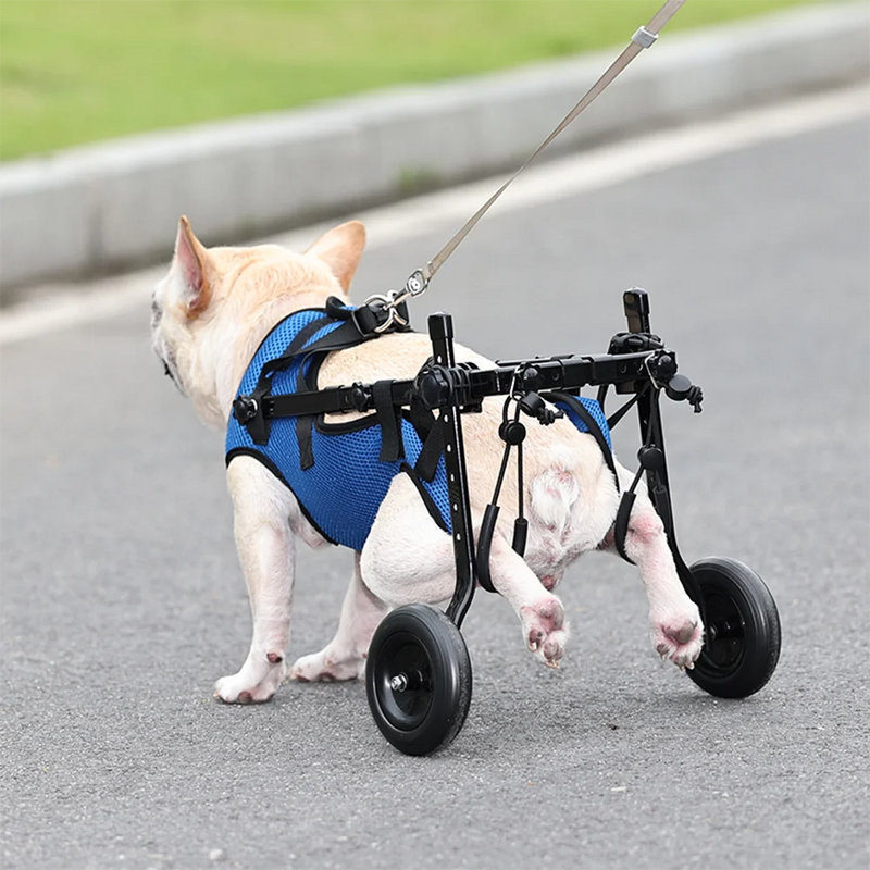 Cadeira de Rodas Ajustável Para Cachorros
