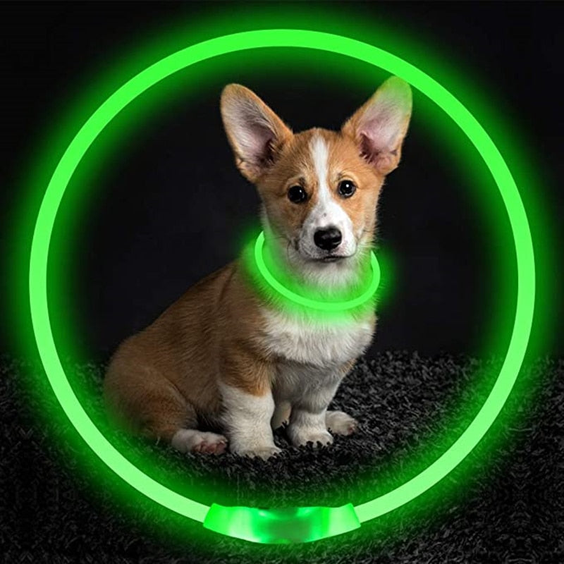 Coleira para Cães e Gatos Sinalizadora LED