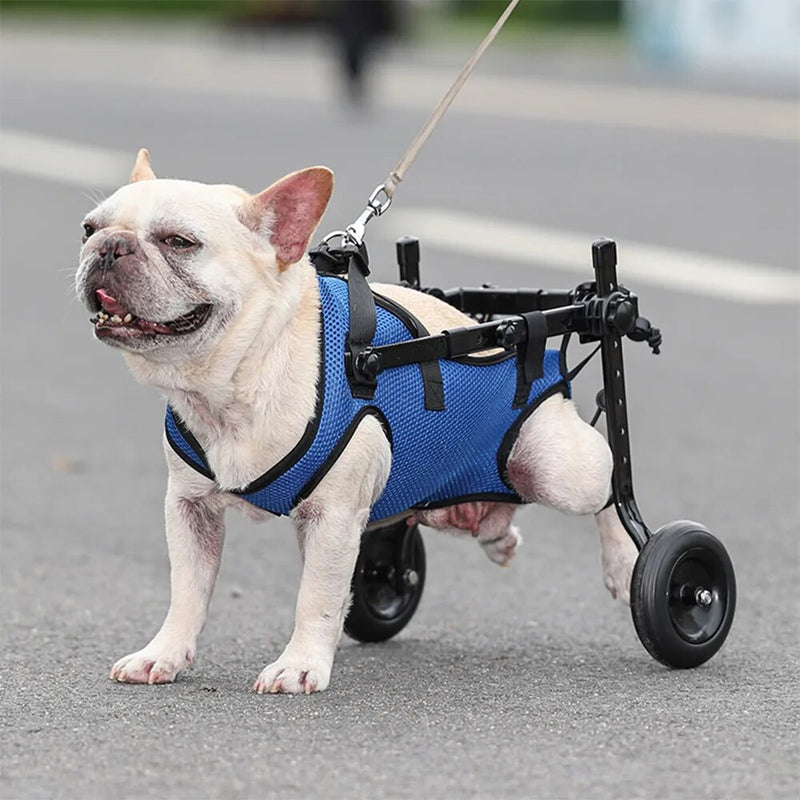 Cadeira de Rodas Ajustável Para Cachorros