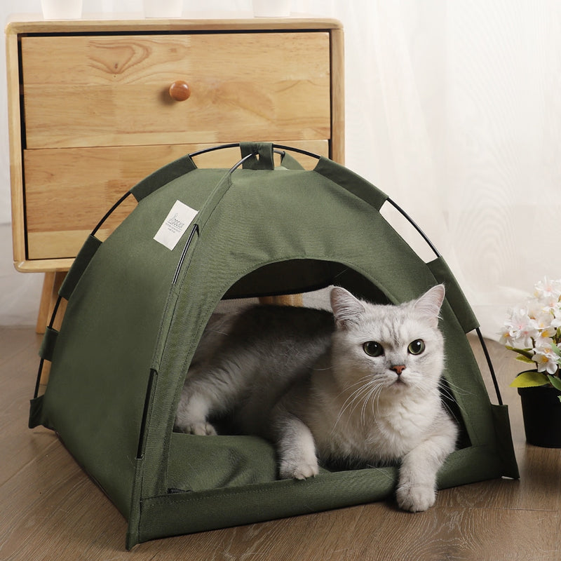 Cama de Gato Design Tenda