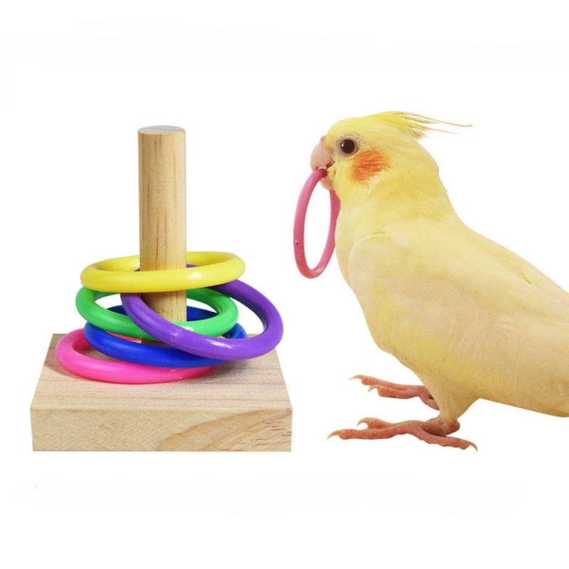 Brinquedos para Papagaios  Interativo